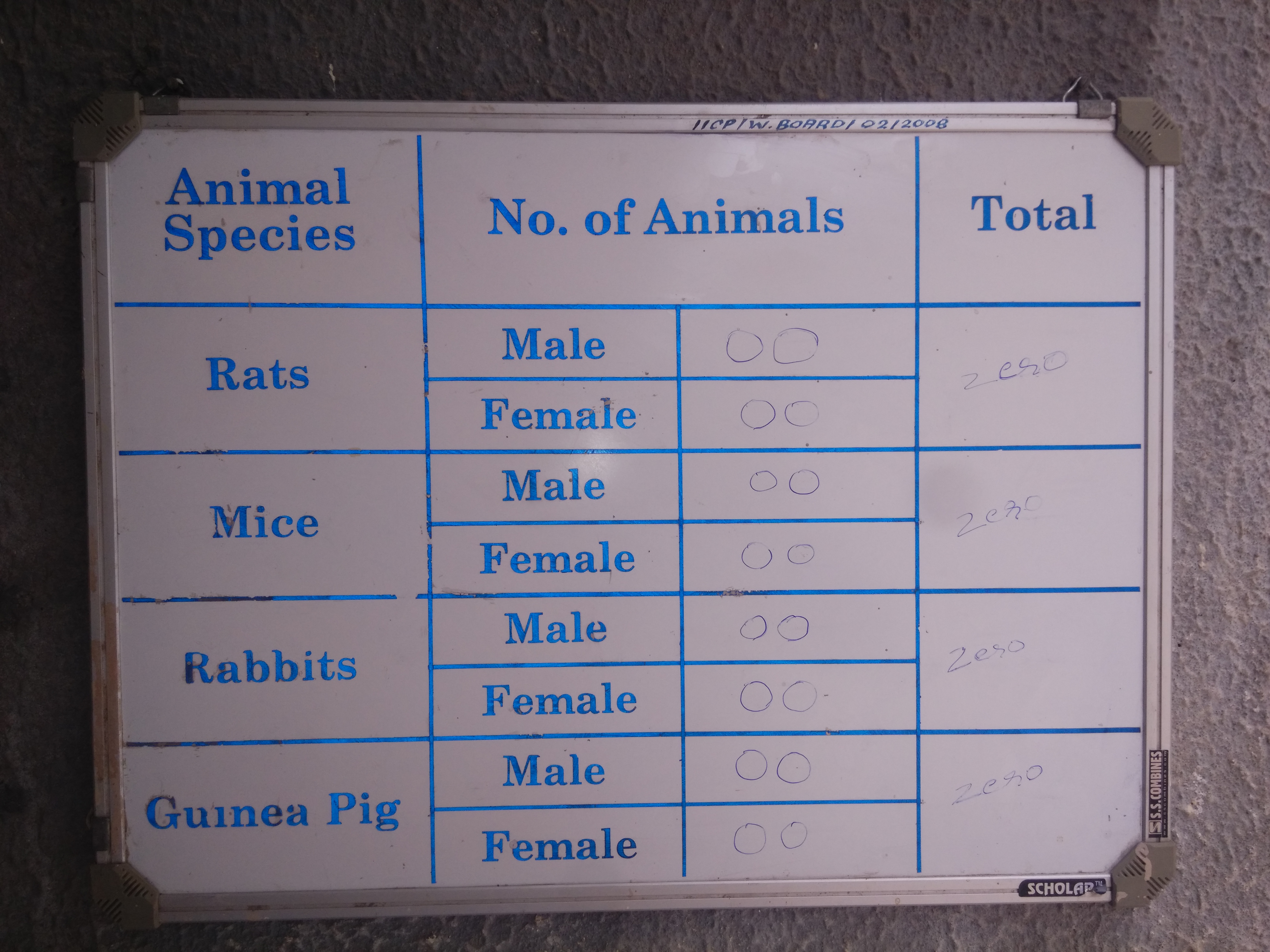 IICP Animal House